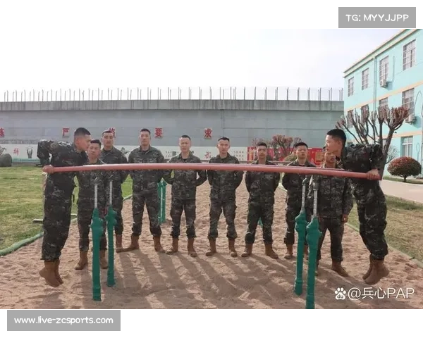 不同体重级别选手的技术特点与战术安排差异